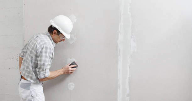 Best Water-Damaged Drywall Repair  in Shadyside, OH