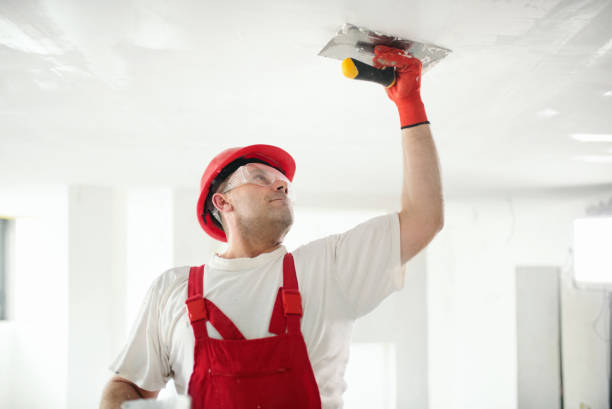 Best Repainting for Renovations  in Shadyside, OH